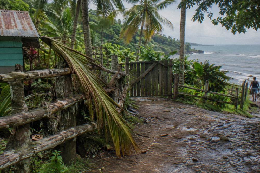 A wooden gate and fence line at the edge of a tropical forest park entrance