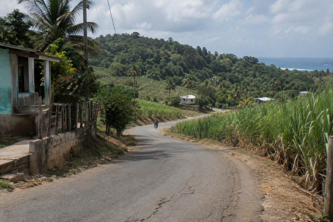 A country road winding through green hills toward a wooded monkey park in the Dominican countryside