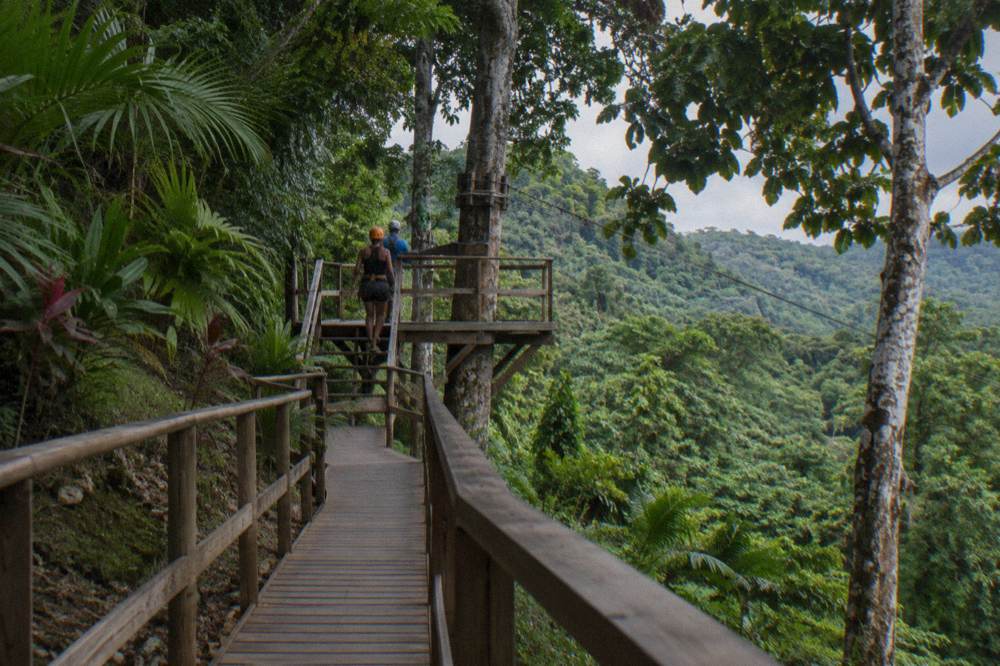 Raised timber walkway through dense jungle leading to a zip line platform between tall trees.