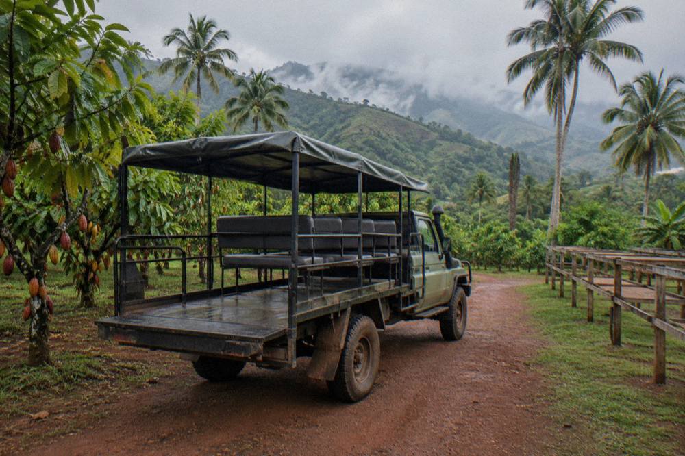Open air safari truck parked on a red dirt track between cacao racks and palms, misty hills behind.