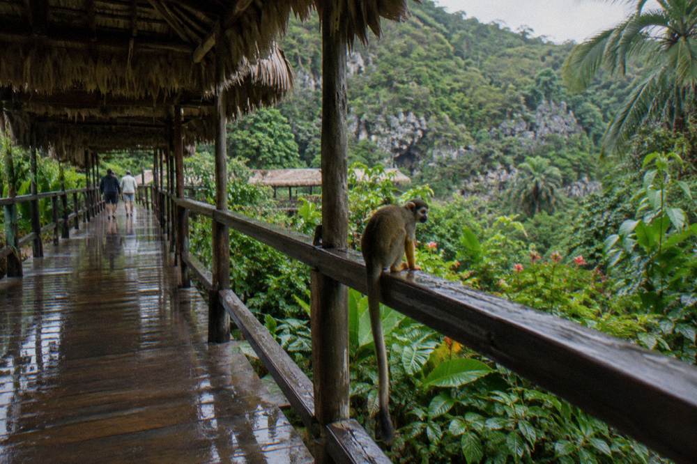 Wet wooden walkway under a thatched shelter, puddles reflecting beams, dense green hillside behind.