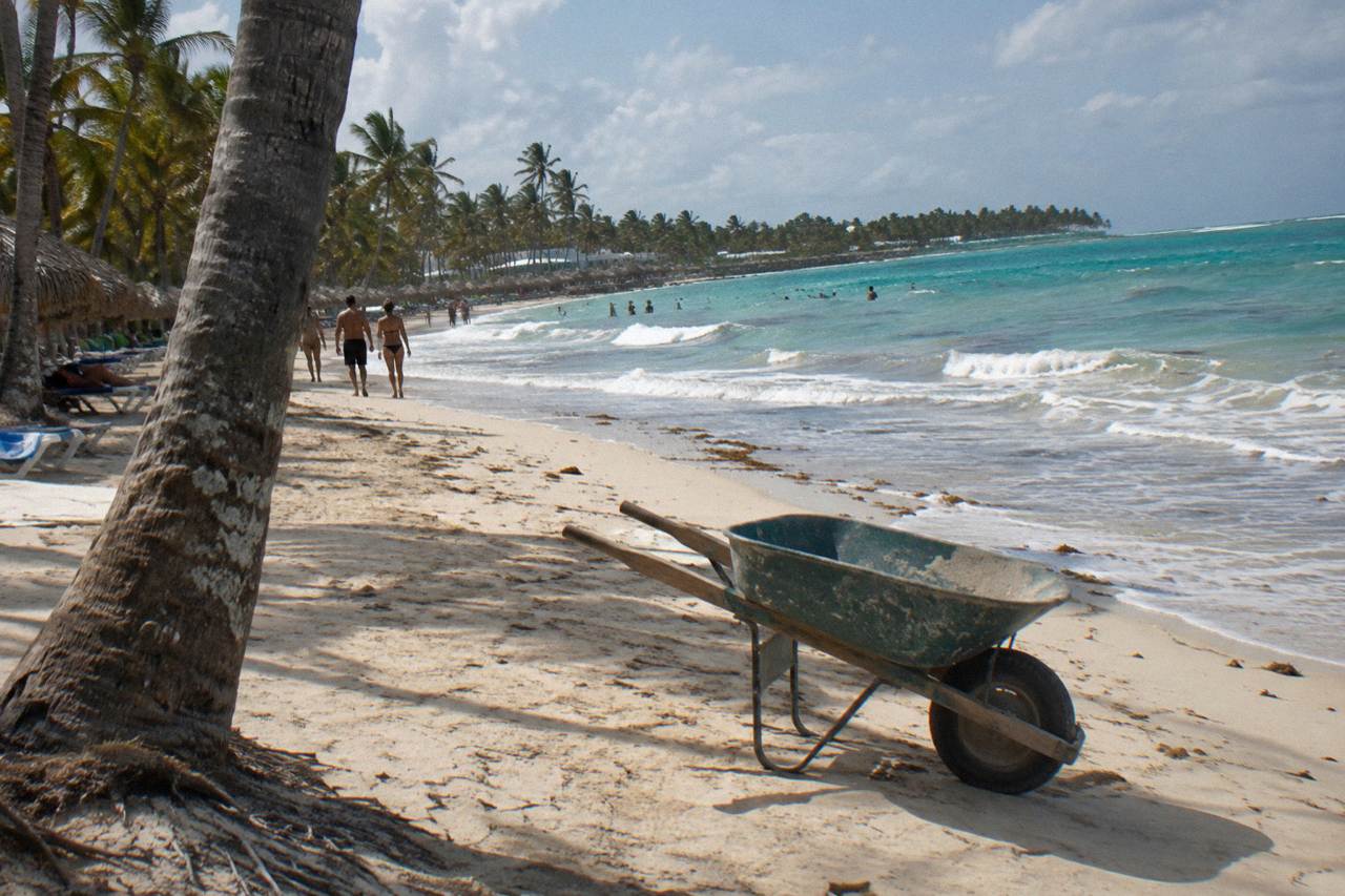 Turquoise water meeting a wide palm-lined beach on the Dominican Republic coast at midday