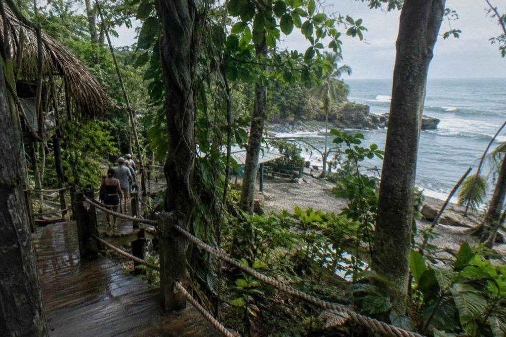 A wooden platform walkway beneath tall jungle trees with hanging vines