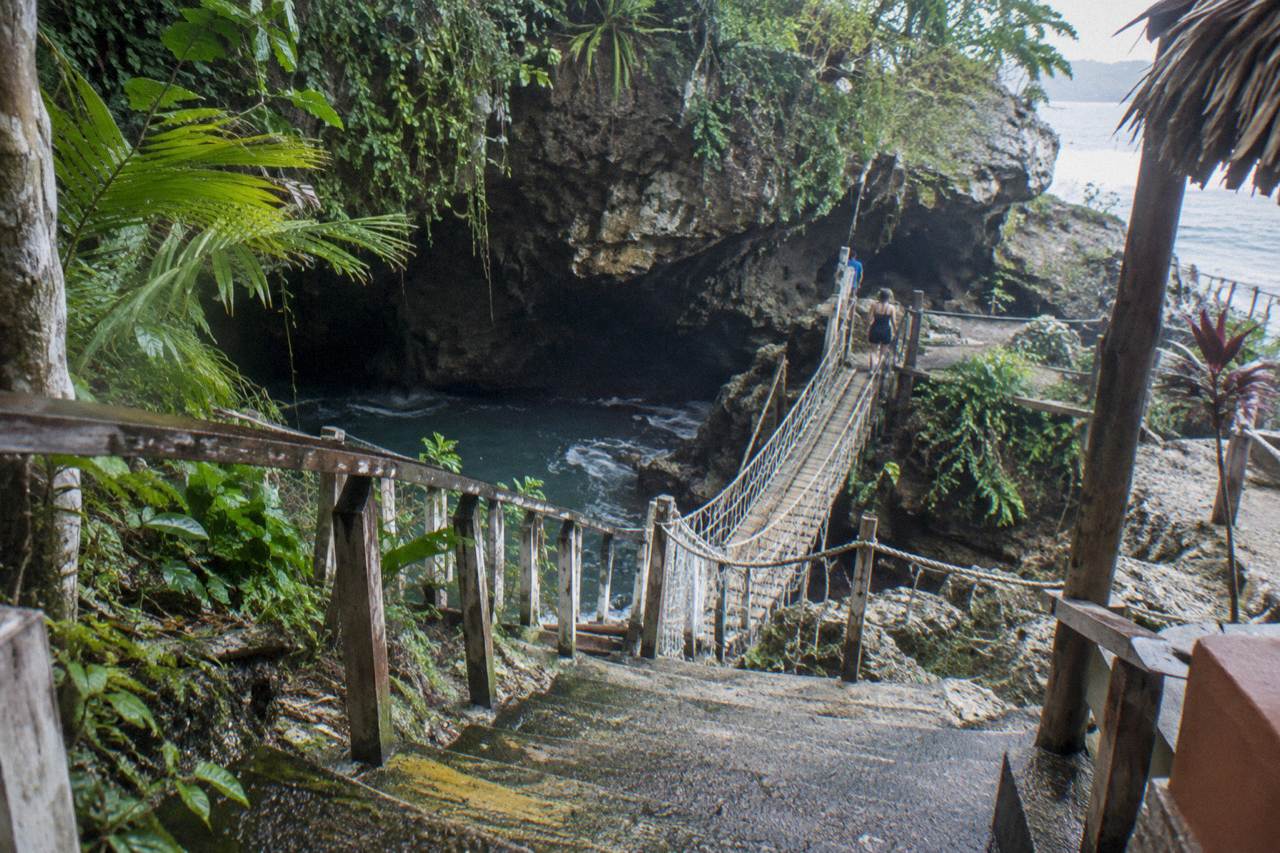 Lush tropical forest canopy with wooden stairs and a rope bridge leading into a shaded grotto