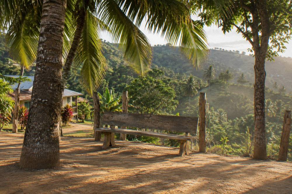Weathered empty wooden bench on bare earth under deep palm shade with green forest hills behind.