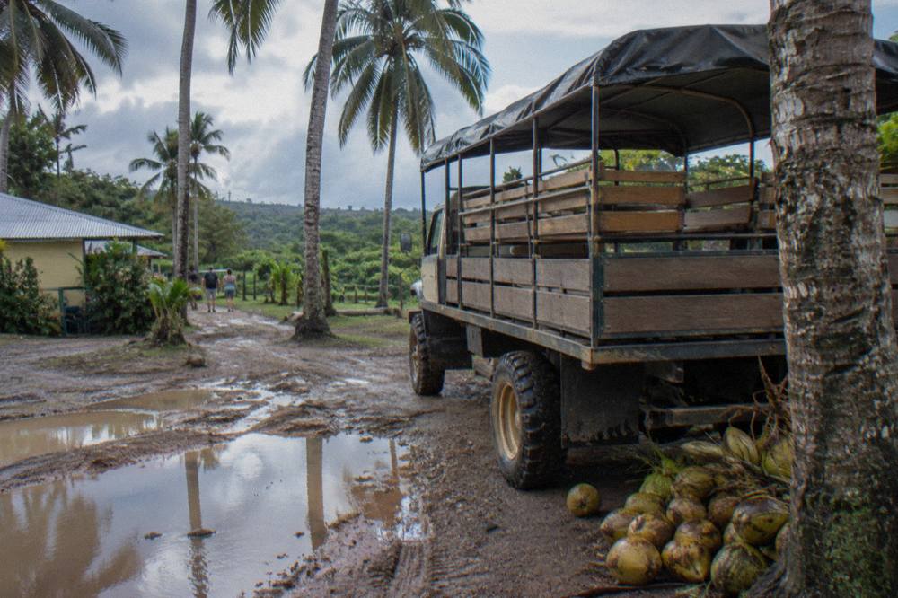 Open-air safari truck parked on a dirt road between palm trees