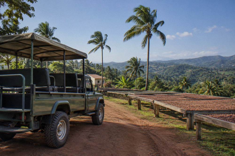 Open air safari truck parked on a red dirt track with cacao drying racks, royal palms and blue sky.
