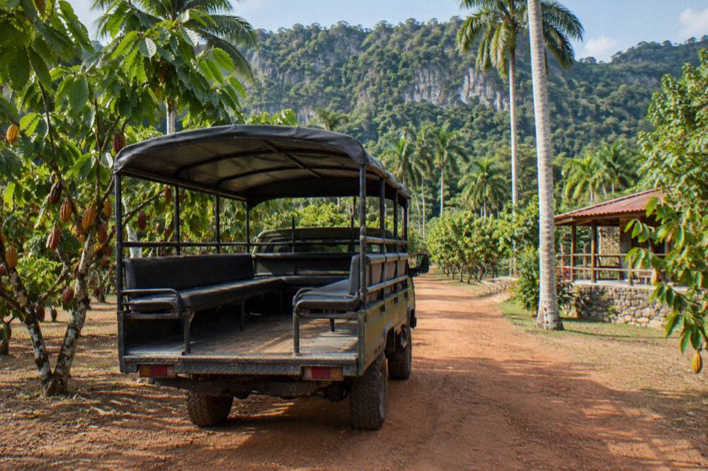 Empty open safari truck parked on a red dirt track between cacao racks and palms before forest ridge