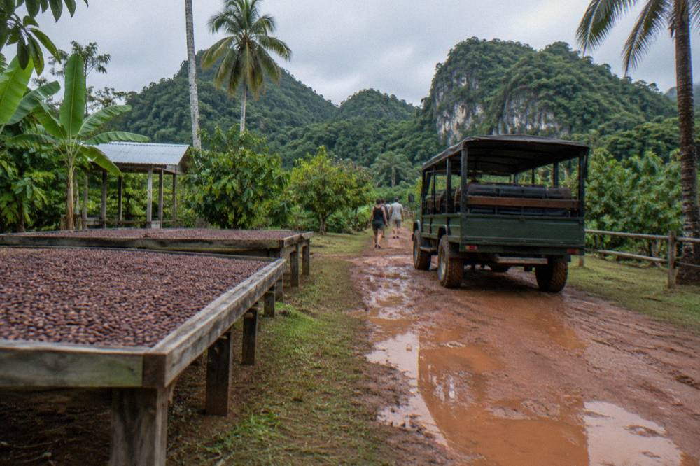Open safari truck parked on a muddy red dirt track with cacao drying racks, palms and green foothills.