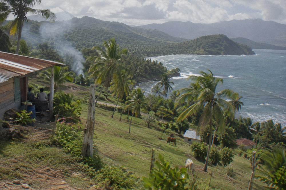 Tropical hillside landscape with palm trees and distant green mountains
