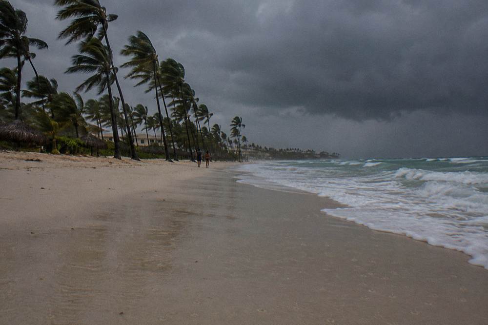 Palms lean over pale sand under grey squall clouds as white surf runs up the empty rainy beach.