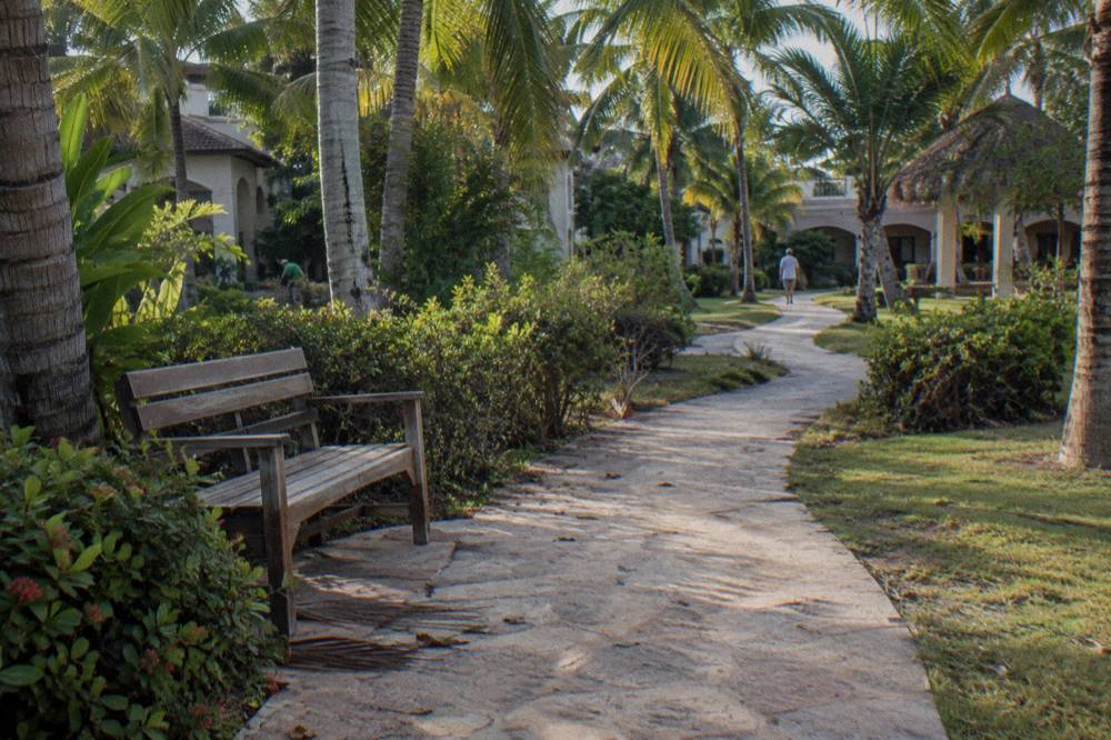 Resort garden path with swept coral stone paving, hedges, palms and a wooden bench in morning light