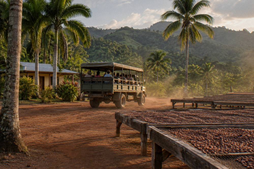 Safari truck idling on a dusty red dirt track between cacao drying racks, palms and forested hills.