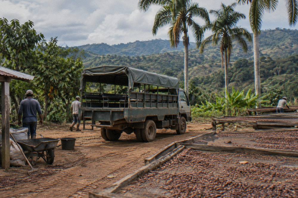 Safari truck parked on a red dirt track between cacao racks and palms, misty green ridges behind.