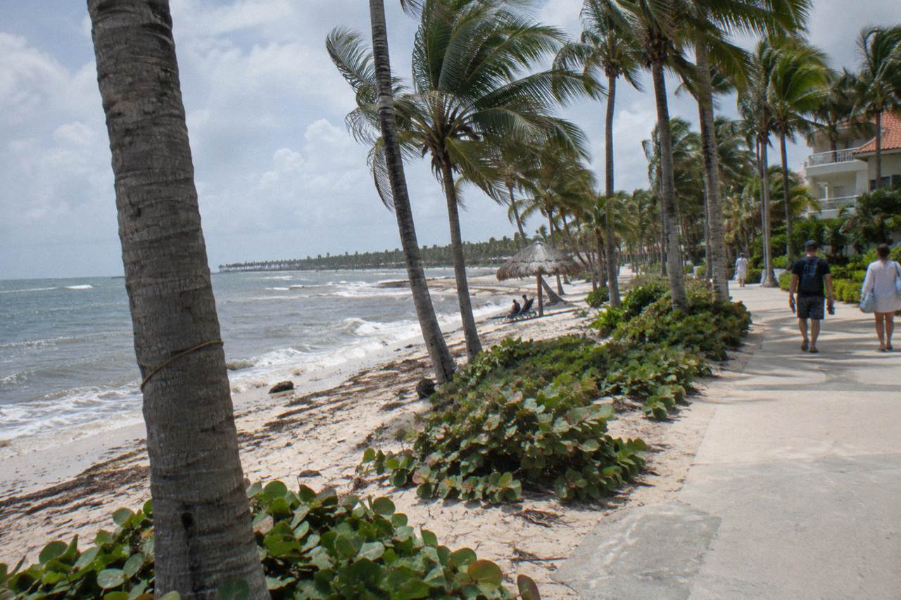 Palm-lined resort road in the Bavaro hotel zone near Punta Cana at midday