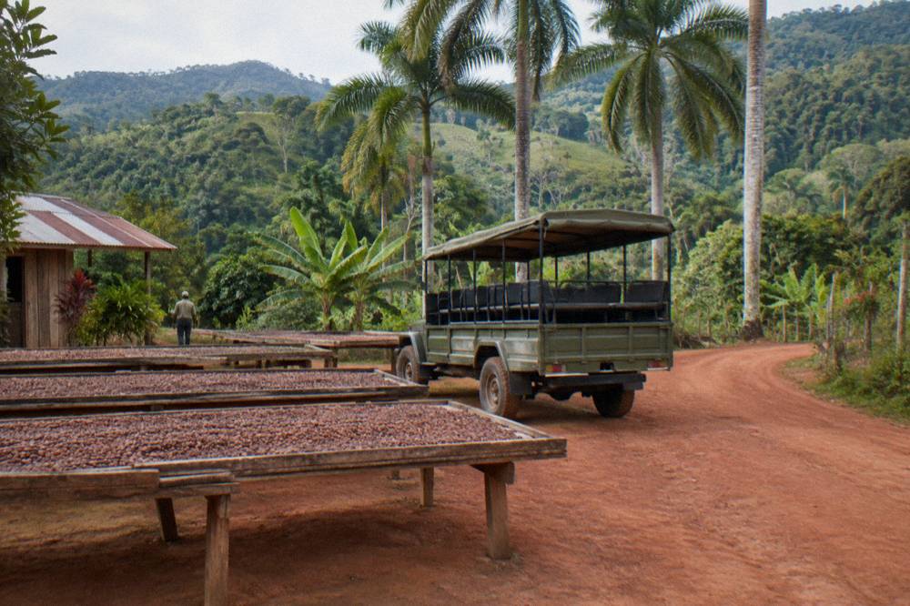 Open safari truck parked on a red dirt track between cacao drying racks and tall palms in green hills