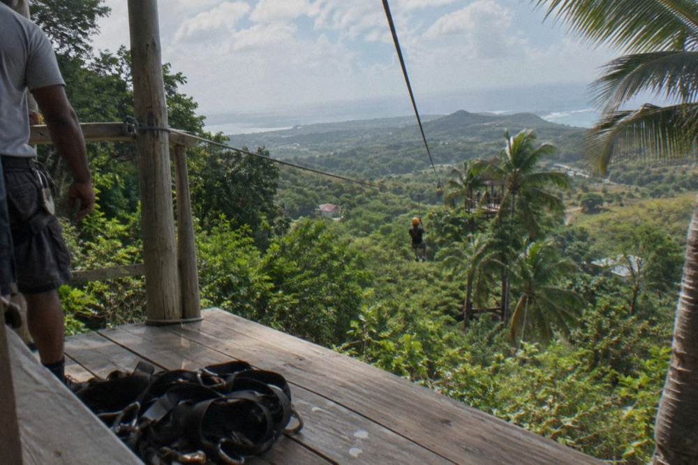 Zip line cables strung between platforms above a forested mountain valley