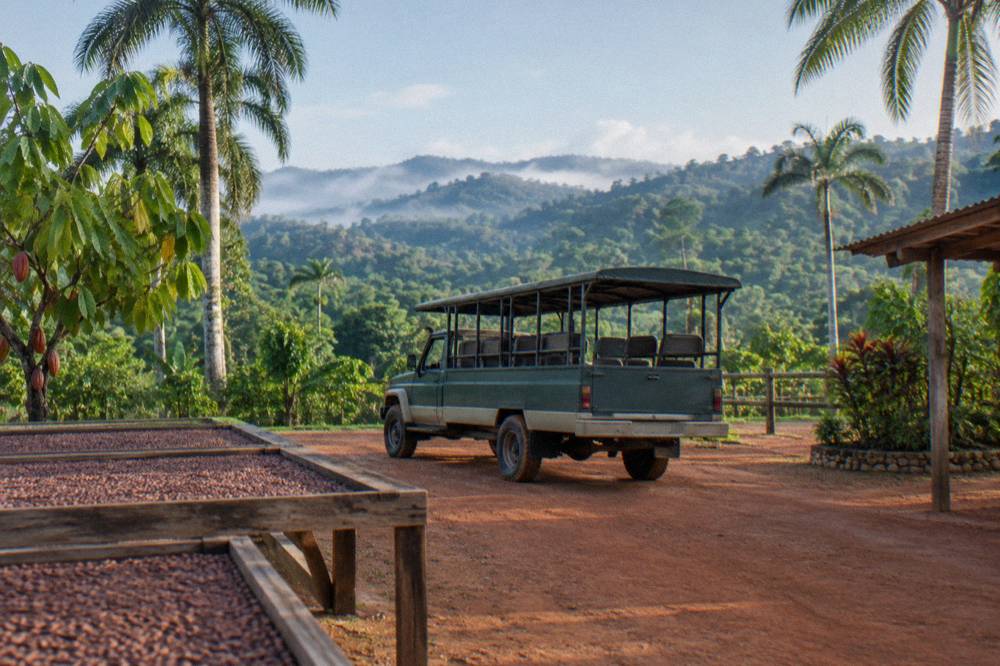 Open safari truck parked on a red dirt track between cacao racks and palms with misty forested ridges