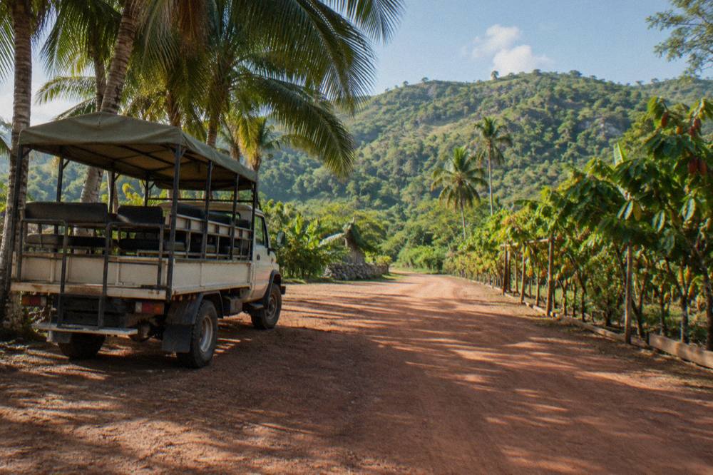 Open safari truck parked in palm shade on a red dirt track with green wooded hills behind