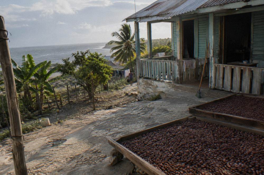 Traditional Dominican wooden house with drying cacao beans in the foreground
