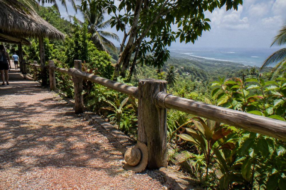Tropical park path with wooden railings and dense green foliage under bright midday light