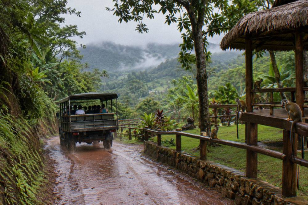 Open safari truck moving along a wet red dirt track between steep forested slopes, mist pooling below.