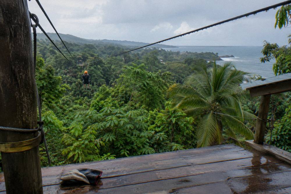 Zipline cables strung between platforms high in a green forest canopy
