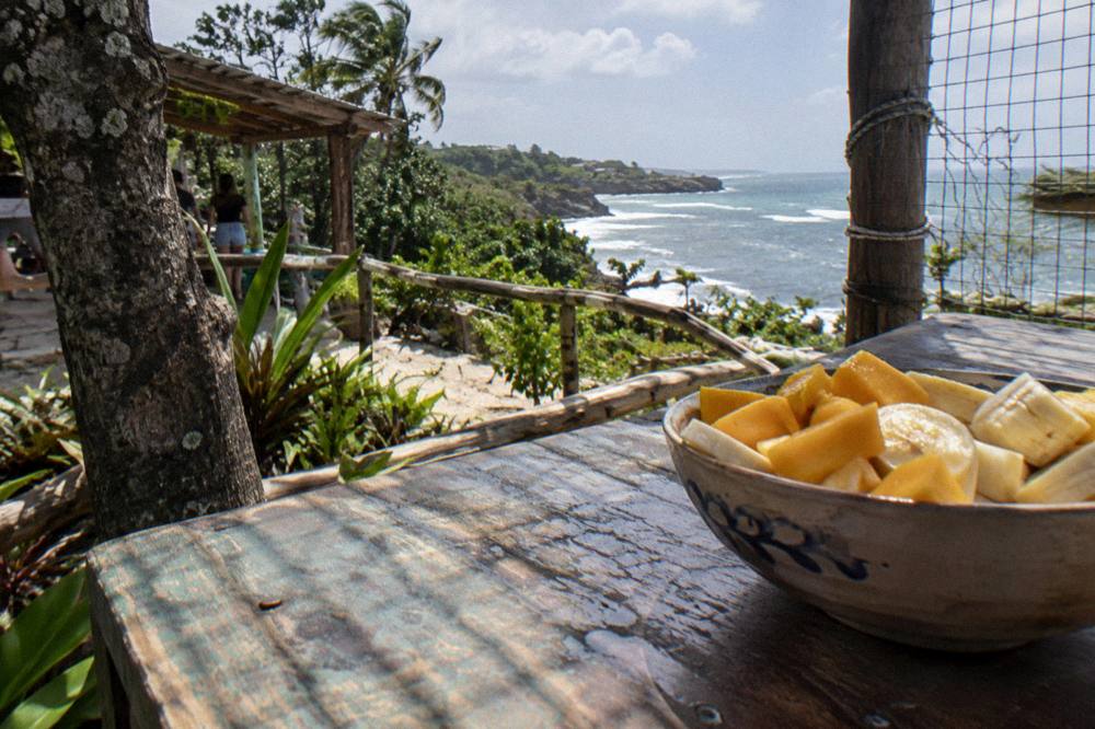 Bowl of fresh fruit pieces prepared for feeding monkeys on a wooden table