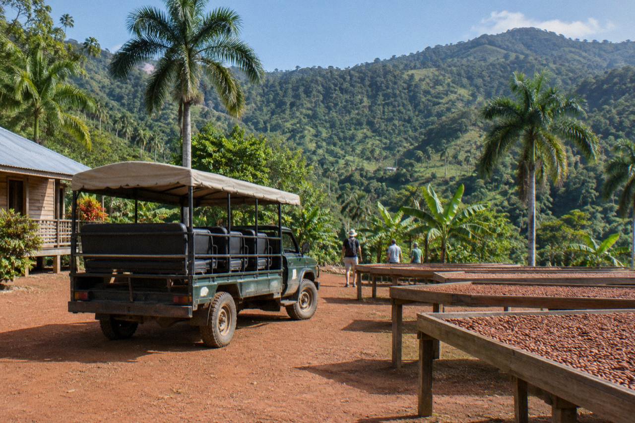Safari truck parked on red dirt among cacao drying racks and royal palms, forested slopes behind.