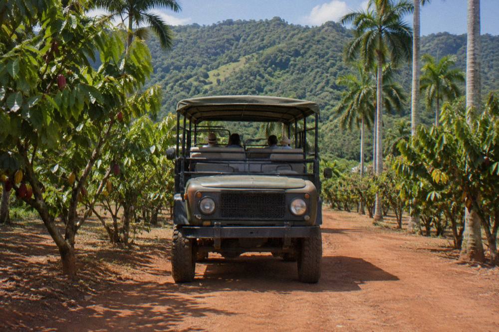 Open air safari truck on a red dirt track flanked by cacao trees and royal palms, green hills behind.