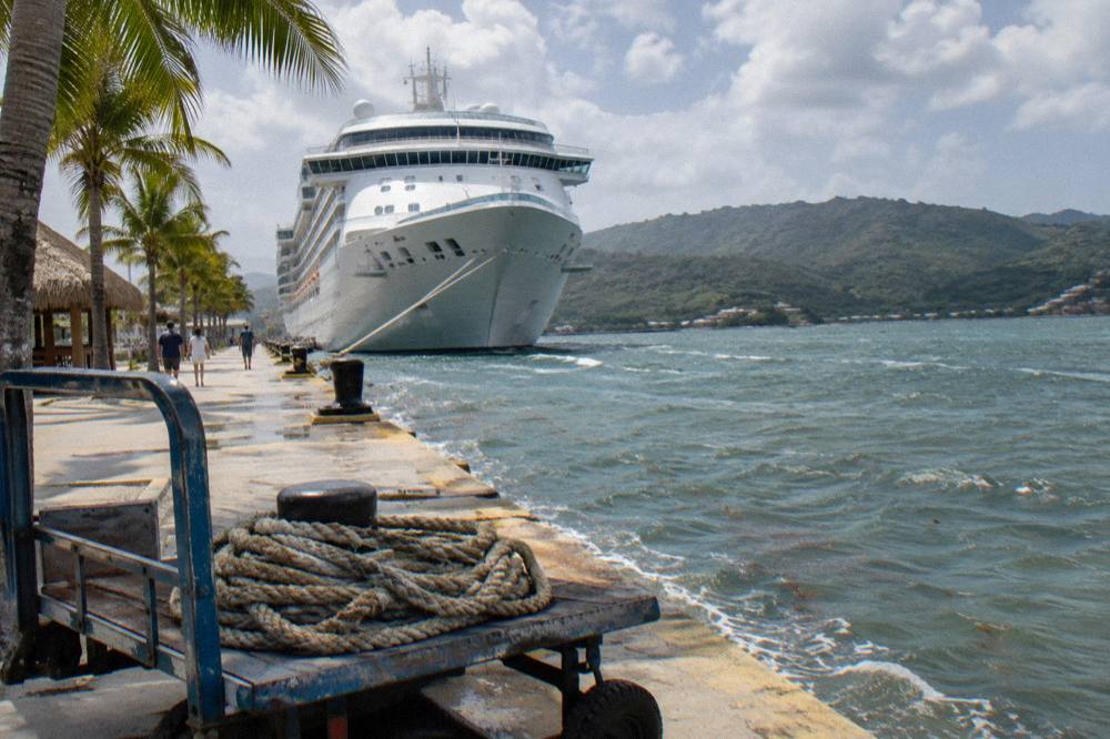 Cruise ship docked at a tropical port with palm trees along the pier