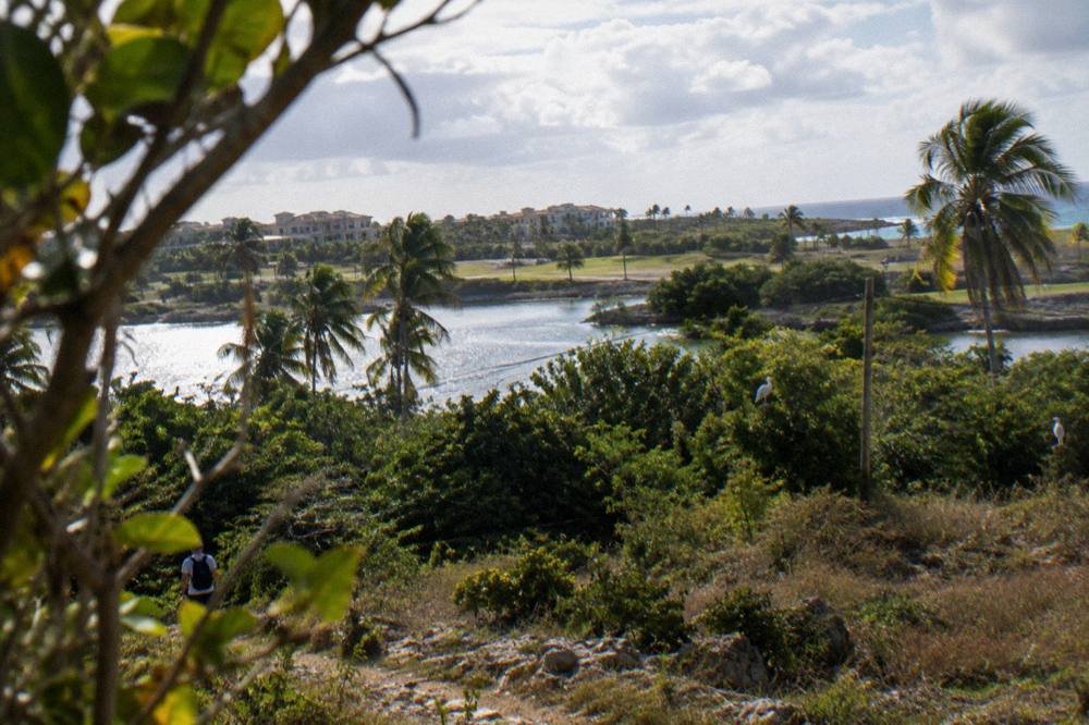 Turquoise water, white sand and palms along the shore at Cap Cana