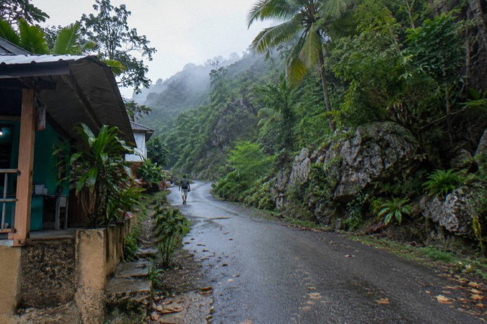 A forested hillside road winding through green jungle on the north coast