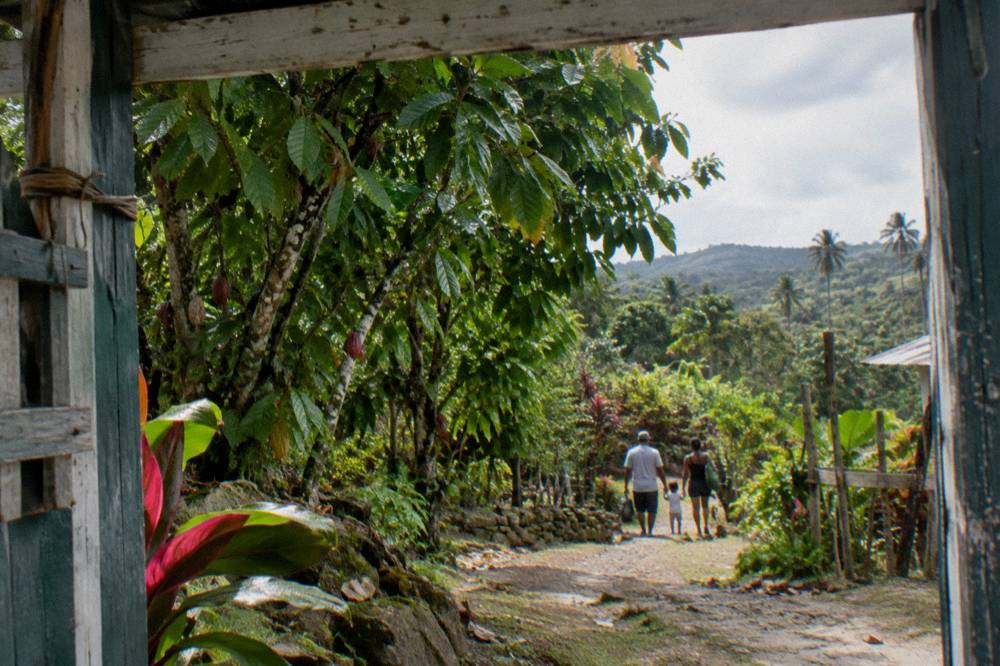 A family walking a tropical garden path toward a wooden park entrance