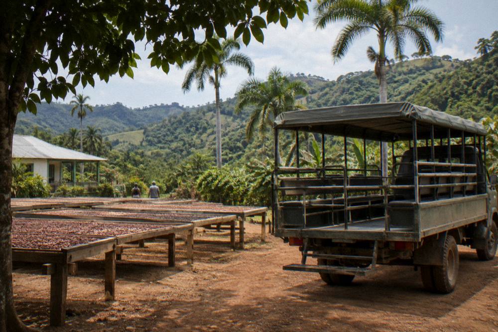Safari truck parked on a red dirt track between cacao drying racks and tall palms, green forest beyond.