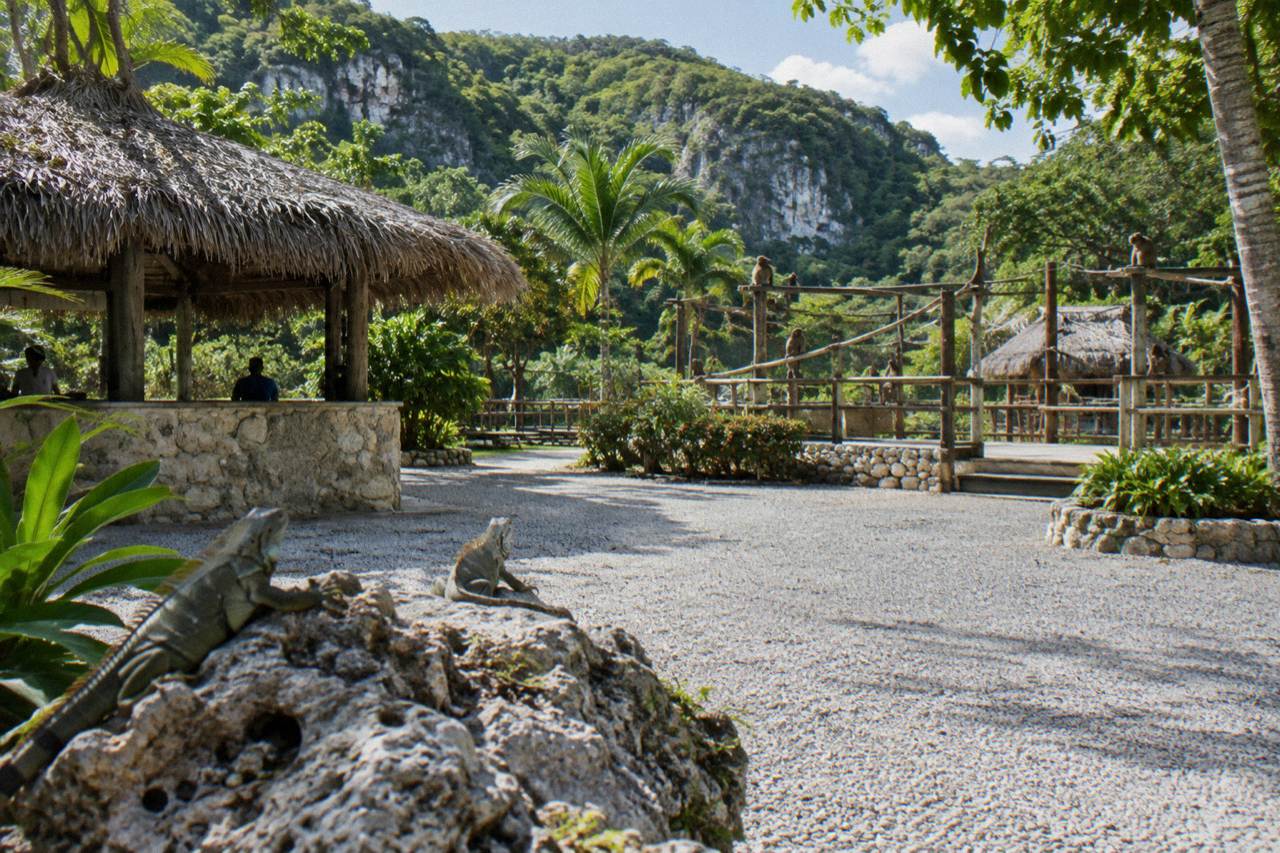 Lush jungle path with tropical plants and simple wooden rails at a nature park in Sosua, Dominican Republic