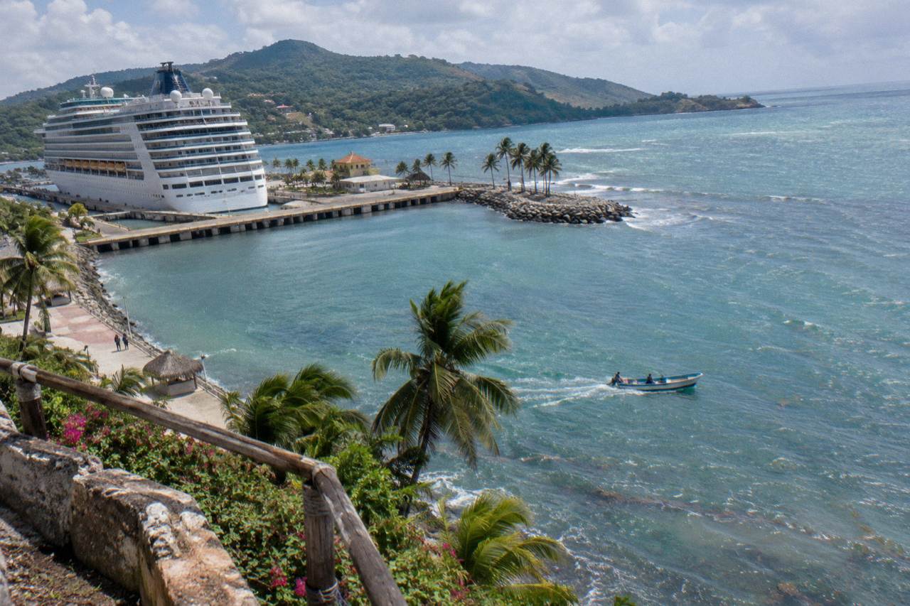 Cruise ship anchored at a tropical port with palm trees and calm turquoise water