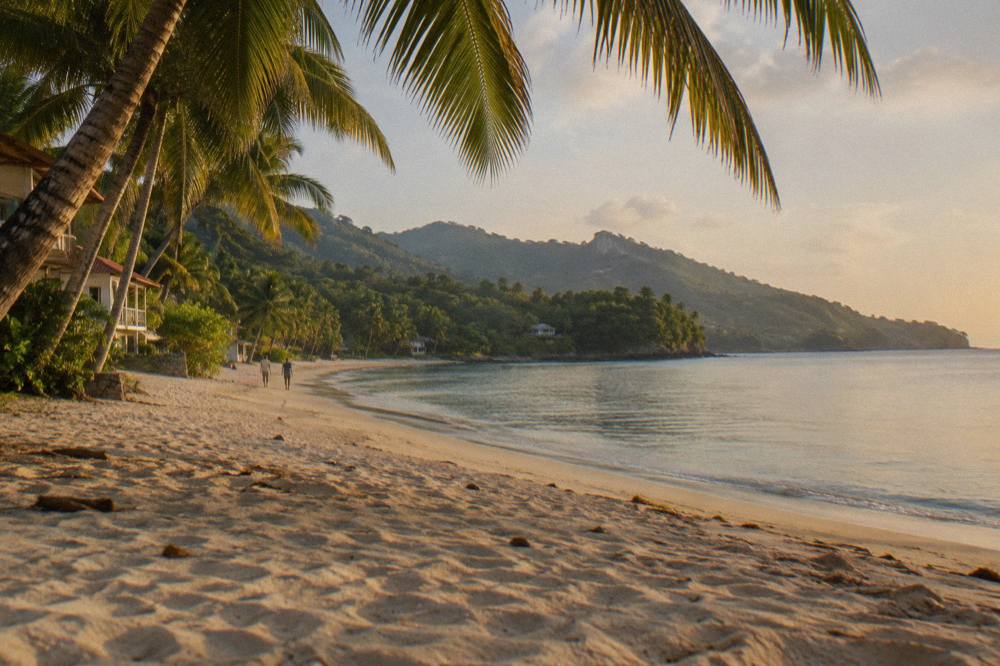 Palm trees along a quiet Samana beach with calm water