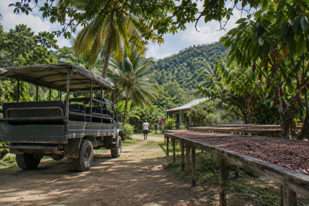 Open sided safari truck parked on a clay track under palms and drying cacao racks, green hills behind