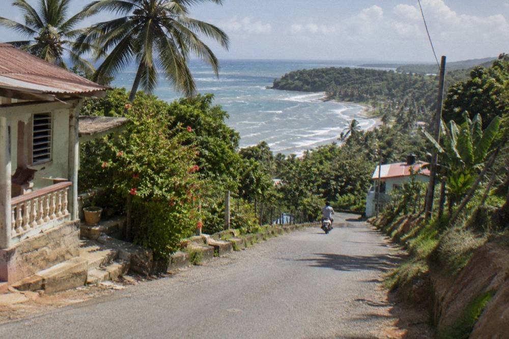 A quiet road winding through palm-covered hills on a peninsula