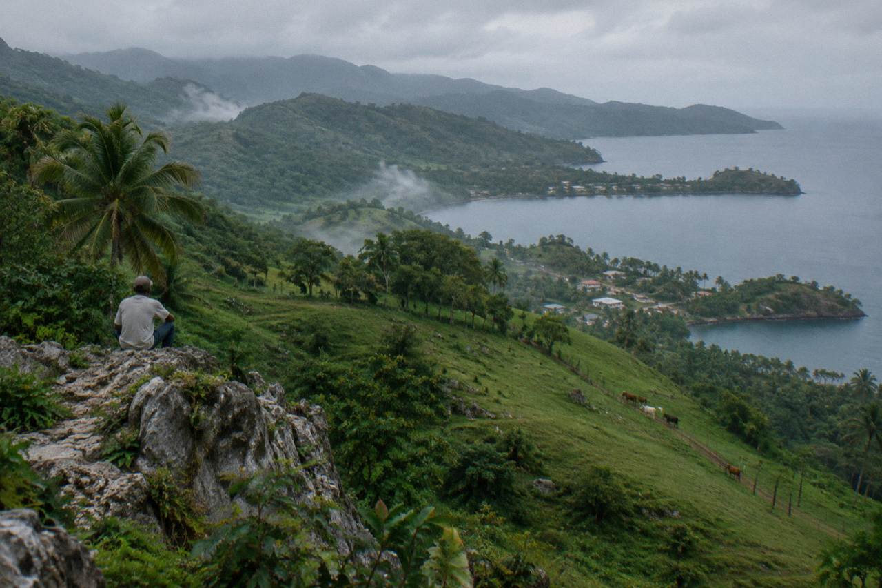 Palm fringed beach with calm turquoise bay and green hills along the coast of Samana, Dominican Republic