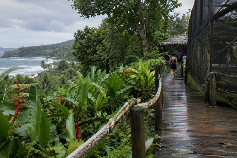 A wooden walkway through dense tropical vegetation leading to a shaded enclosure