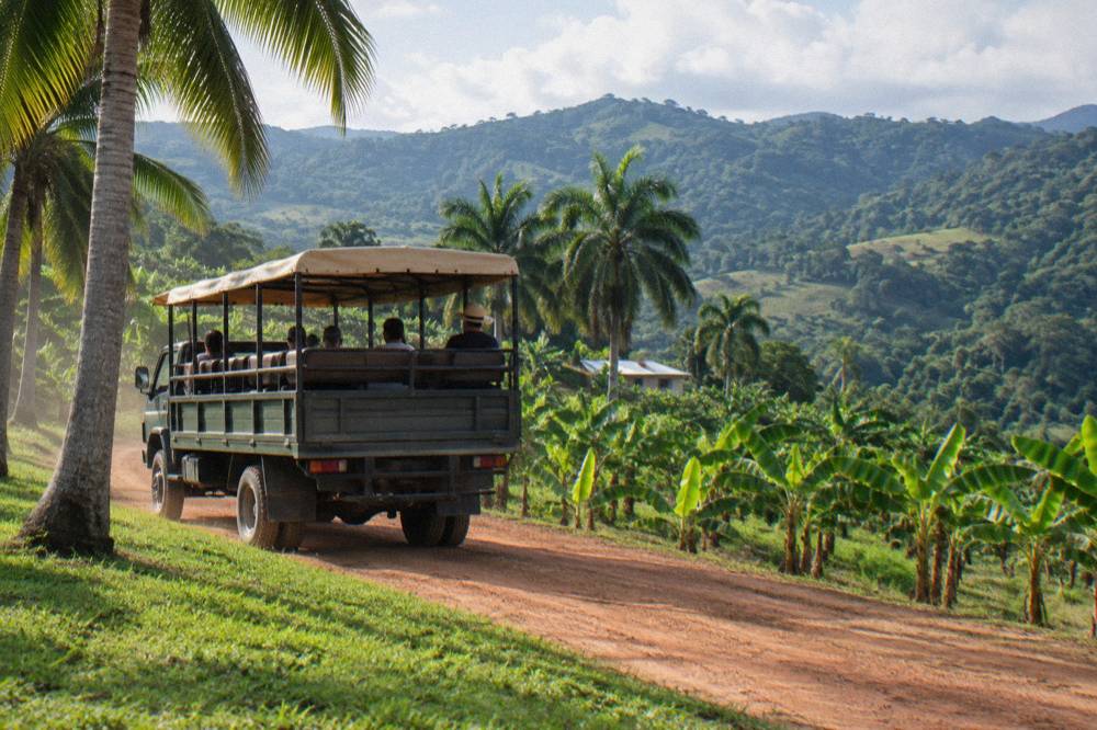 Open sided safari truck parked on red clay track between palms and plantain rows, forested ridges behind