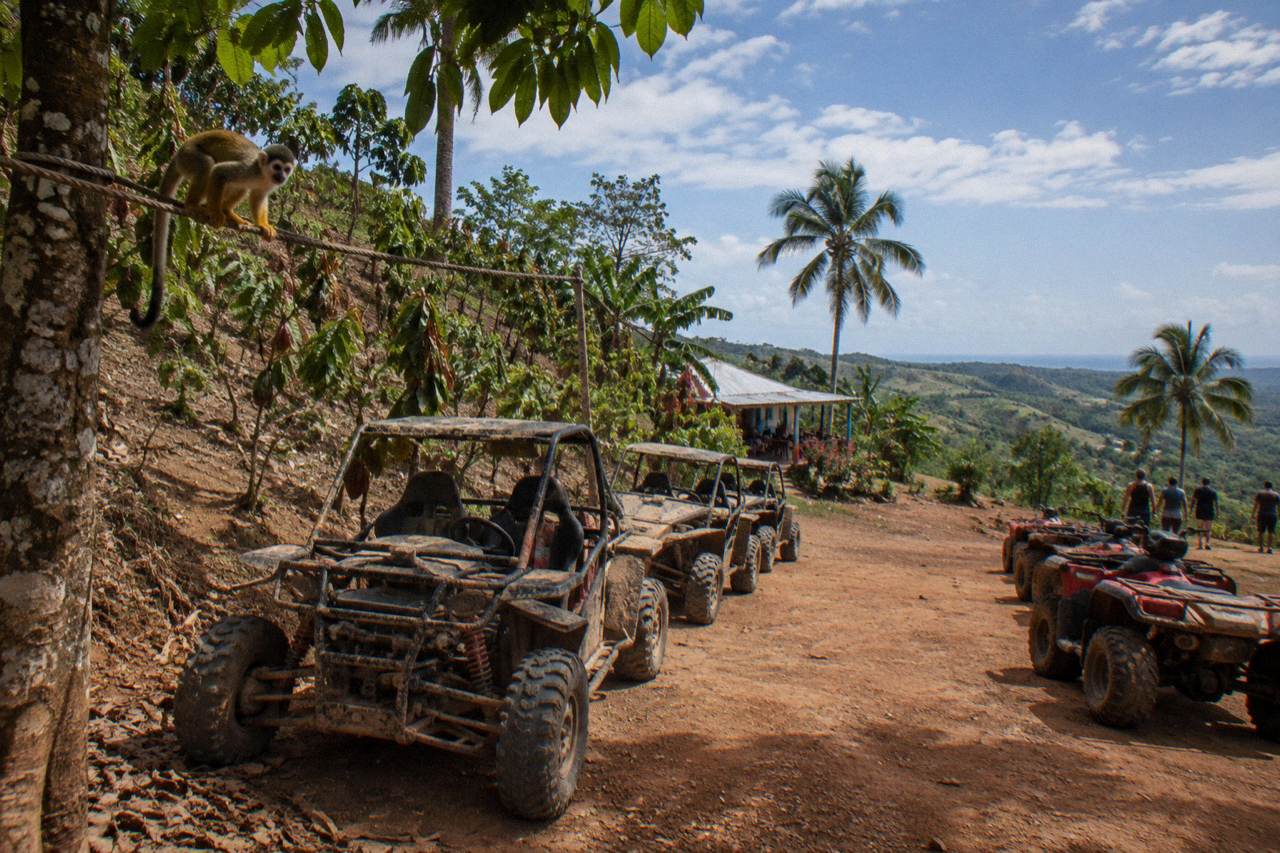 Buggy and atv tours with a monkey park stop